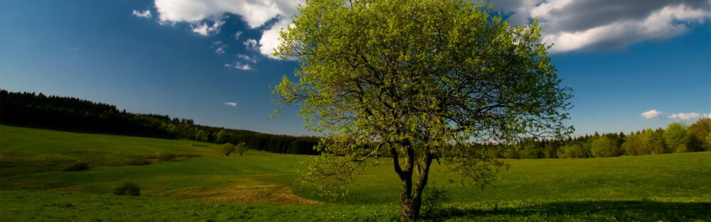 azienda2