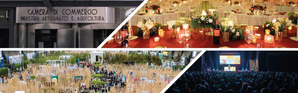 PRO BRIXIA AZIENDA SPECIALE CAMERA DI COMMERCIO DI BRESCIA